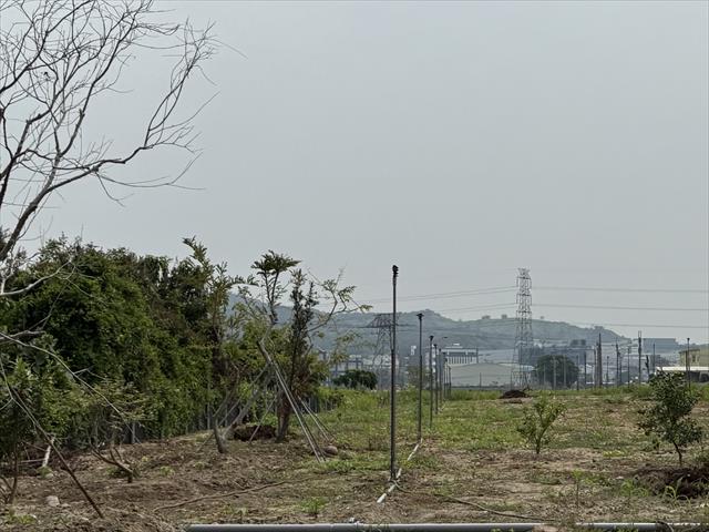 生產者圖片