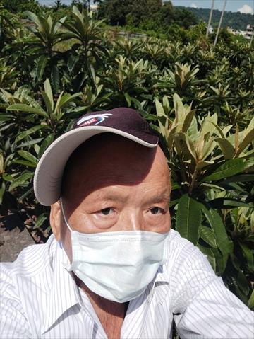 生產者圖片
