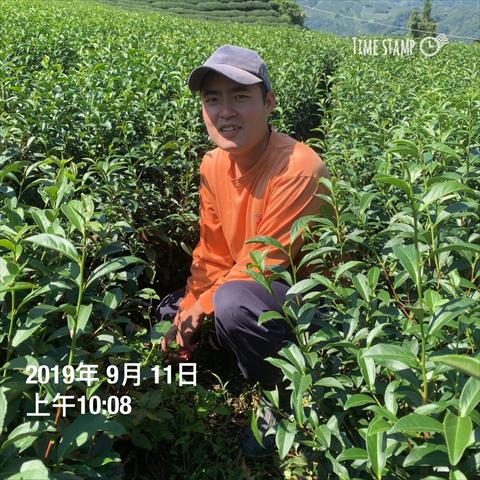生產者圖片