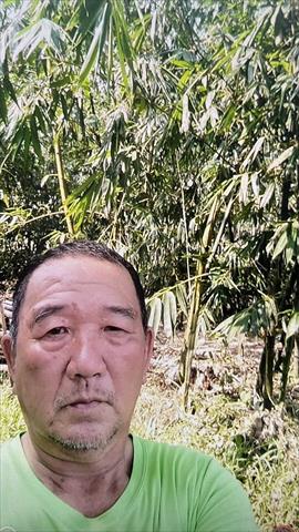 生產者圖片