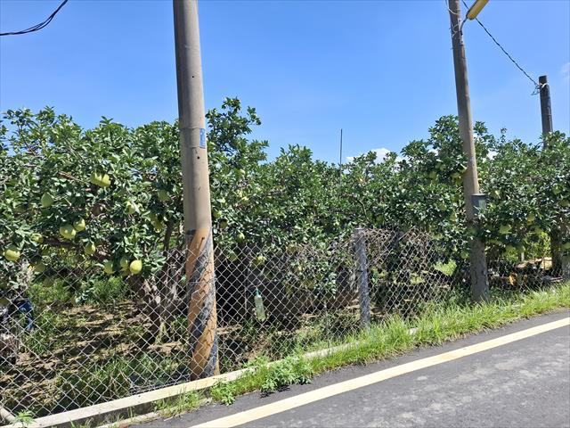 生產者圖片
