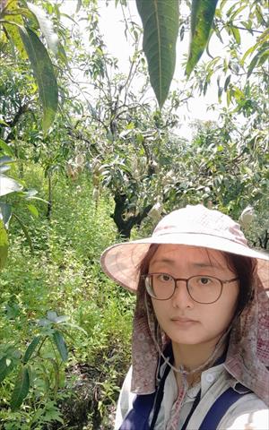 生產者圖片