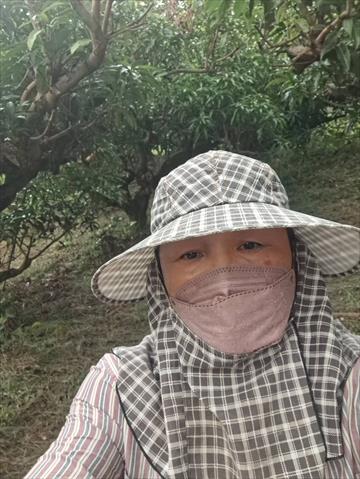 生產者圖片