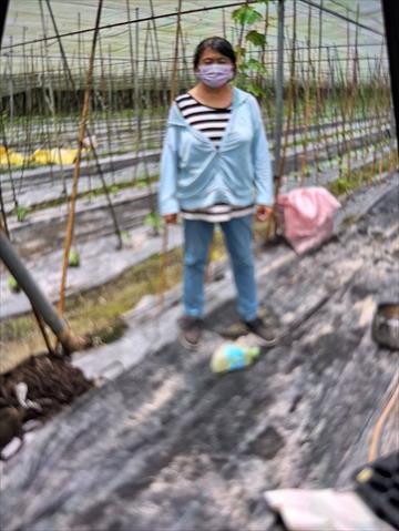 生產者圖片