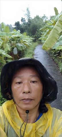 生產者圖片