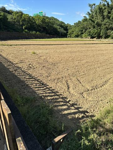 生產者圖片