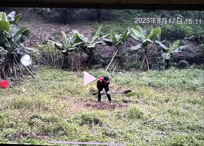 生產者圖片