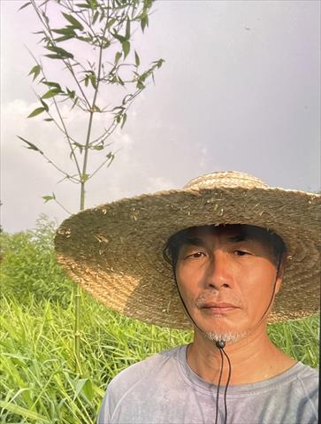 生產者圖片