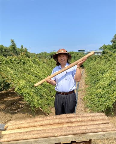生產者圖片