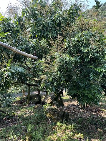 生產者圖片