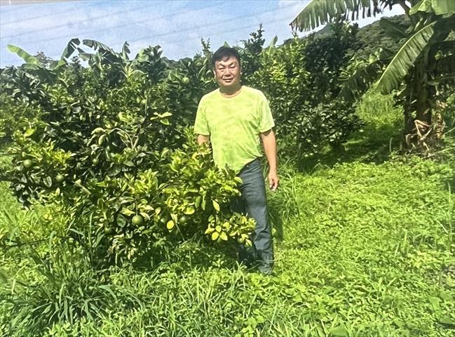 生產者圖片