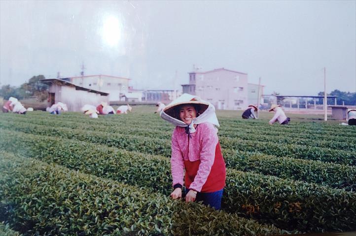 生產者圖片