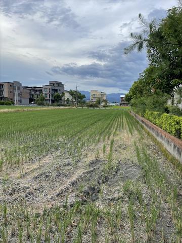 生產者圖片