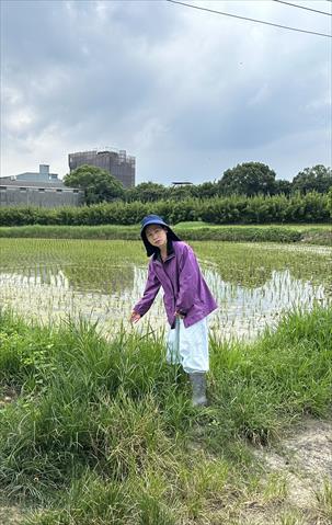生產者圖片