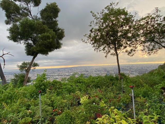 生產者圖片