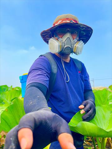 生產者圖片