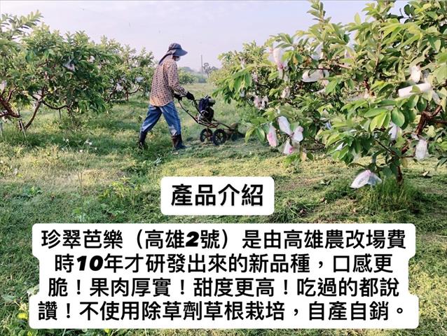 生產者圖片