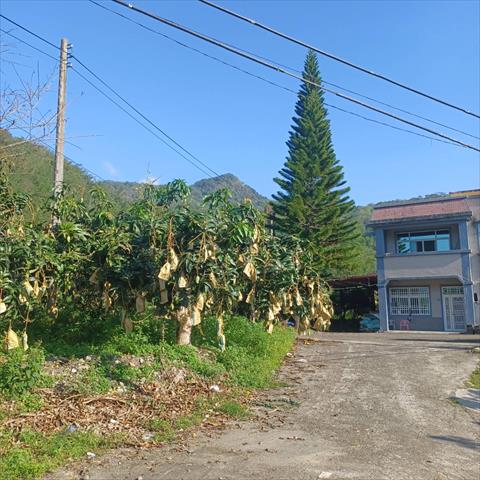 生產者圖片