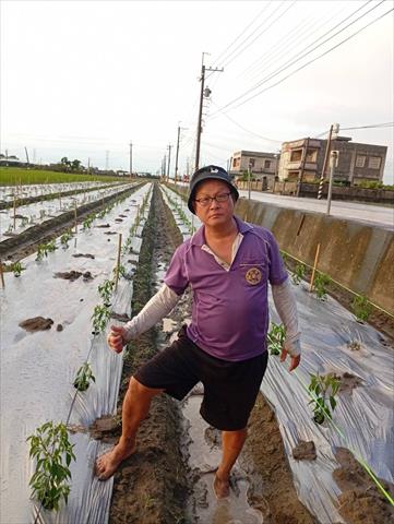 生產者圖片