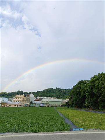 生產者圖片