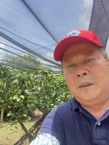 生產者圖片