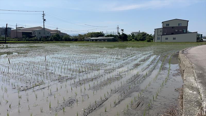 生產者圖片
