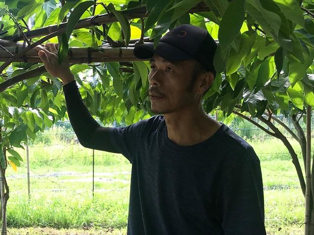 生產者圖片
