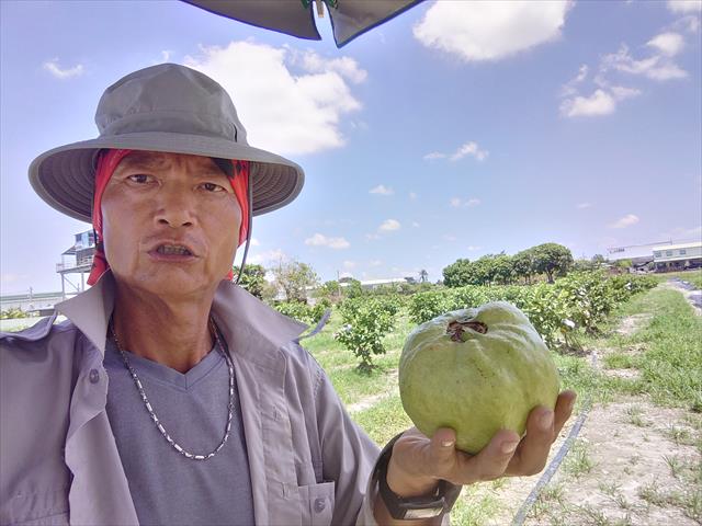 生產者圖片
