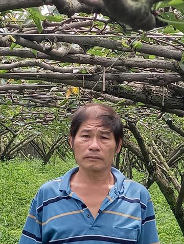 生產者圖片