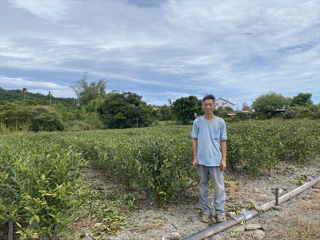 生產者圖片