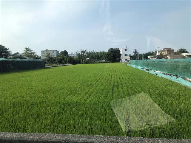 生產者圖片