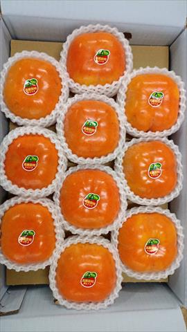 生產者圖片