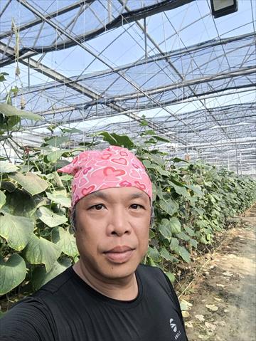 生產者圖片
