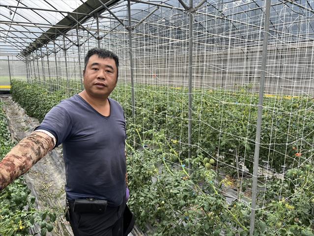 生產者圖片