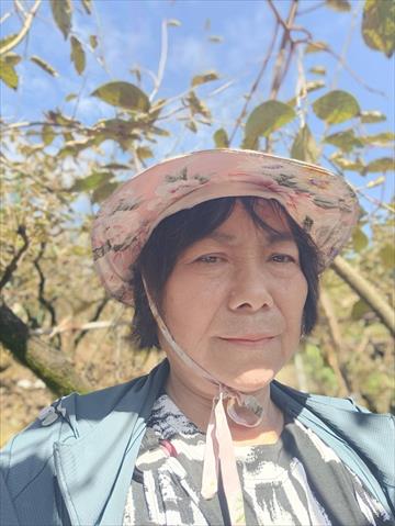 生產者圖片