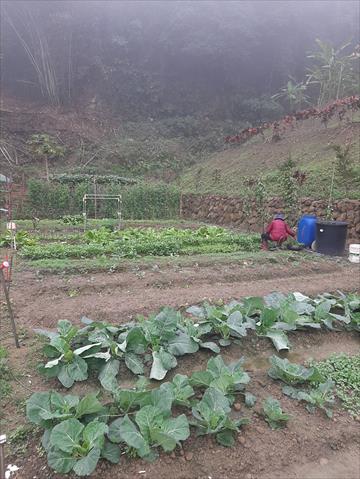 生產者圖片