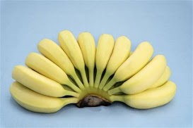 生產者圖片