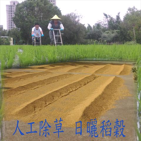 生產者圖片