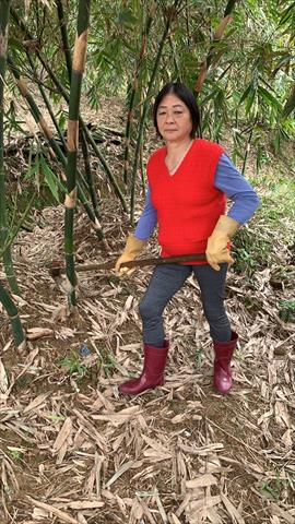 生產者圖片