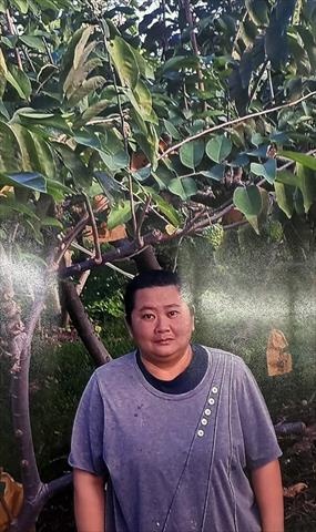 生產者圖片