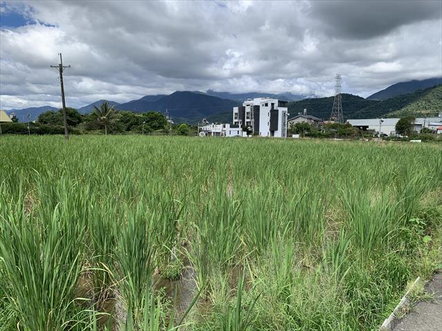 生產者圖片
