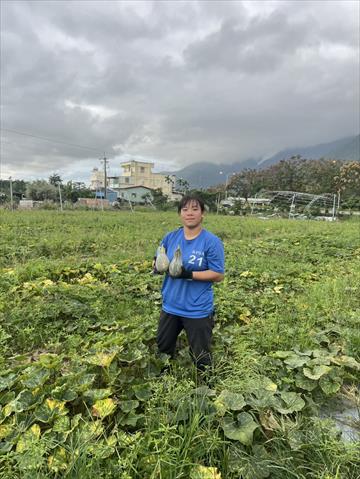 生產者圖片