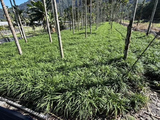 生產者圖片
