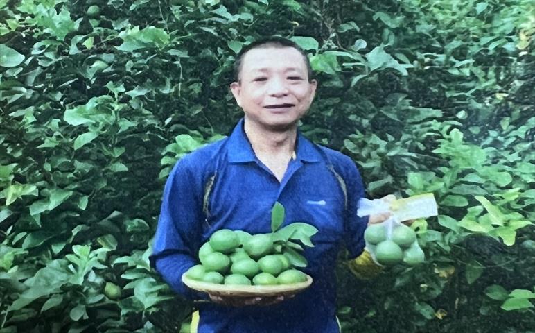 生產者圖片