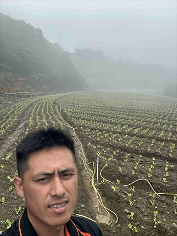 生產者圖片