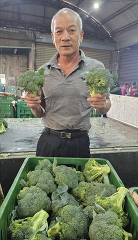 生產者圖片