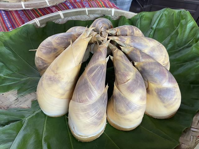 生產者圖片