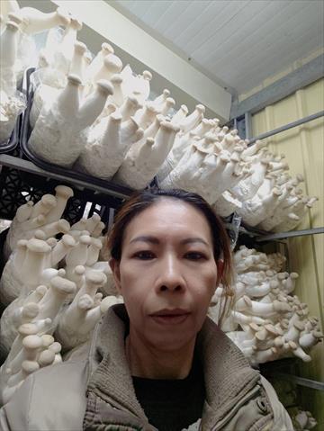生產者圖片