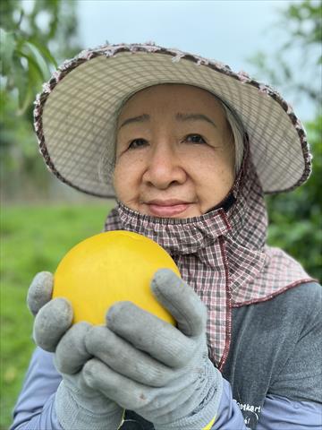 生產者圖片