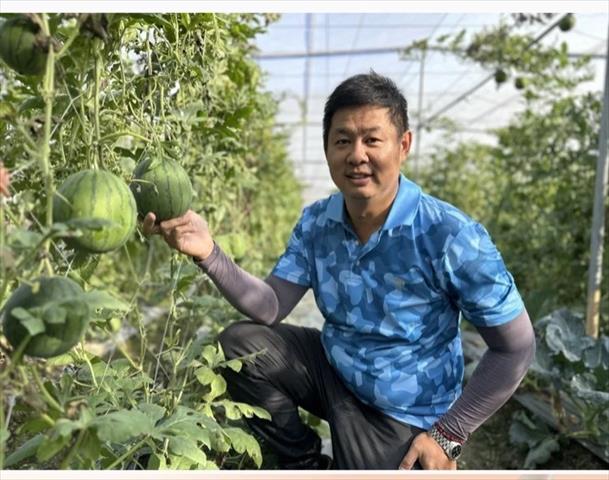 生產者圖片